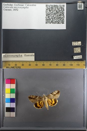 Media type: image;   Entomology 753585